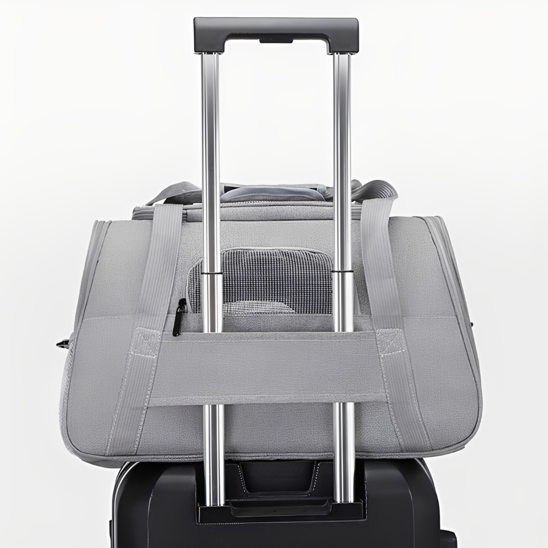 PawVoyage - Comfortable Travel Dog Carrier