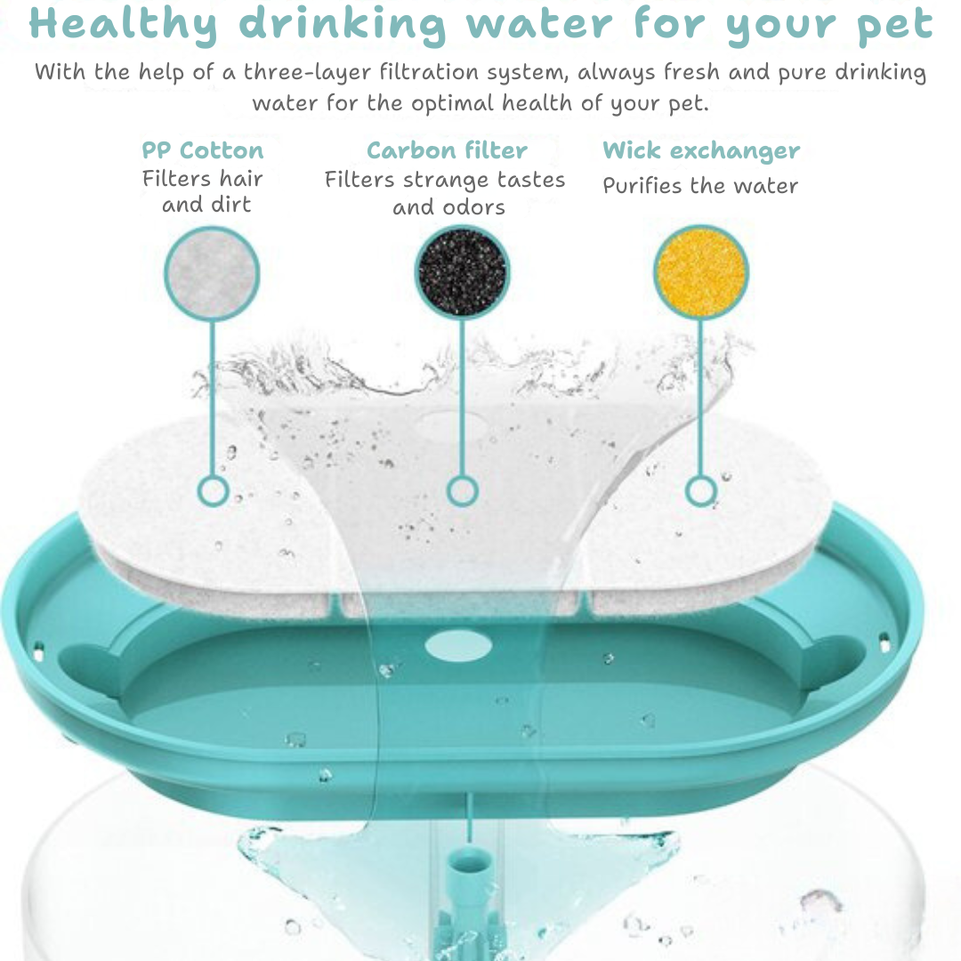 AquaFlow - Protect Your Cat Against Dangerous Bacteria!