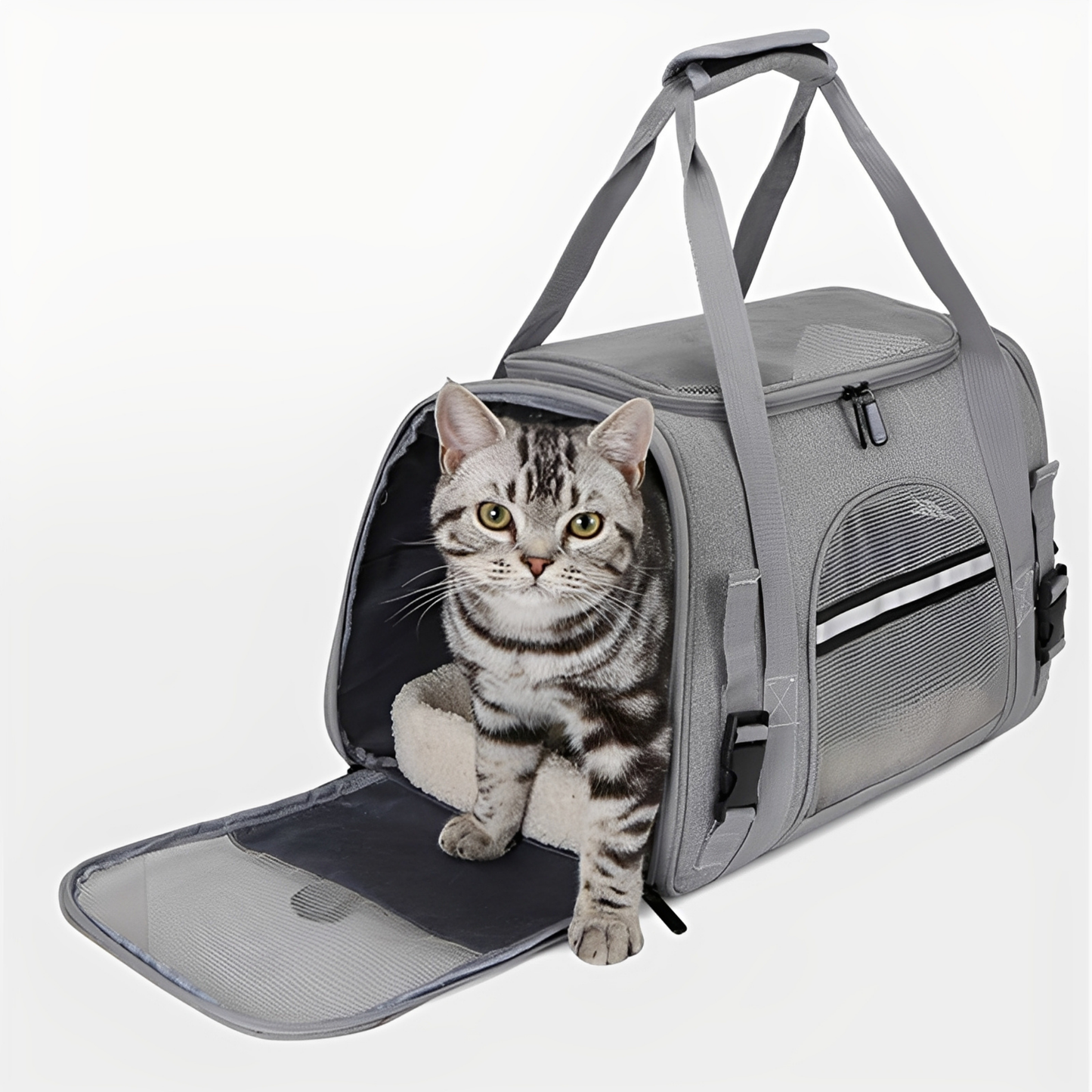 PawVoyage - Comfortable Travel Dog Carrier