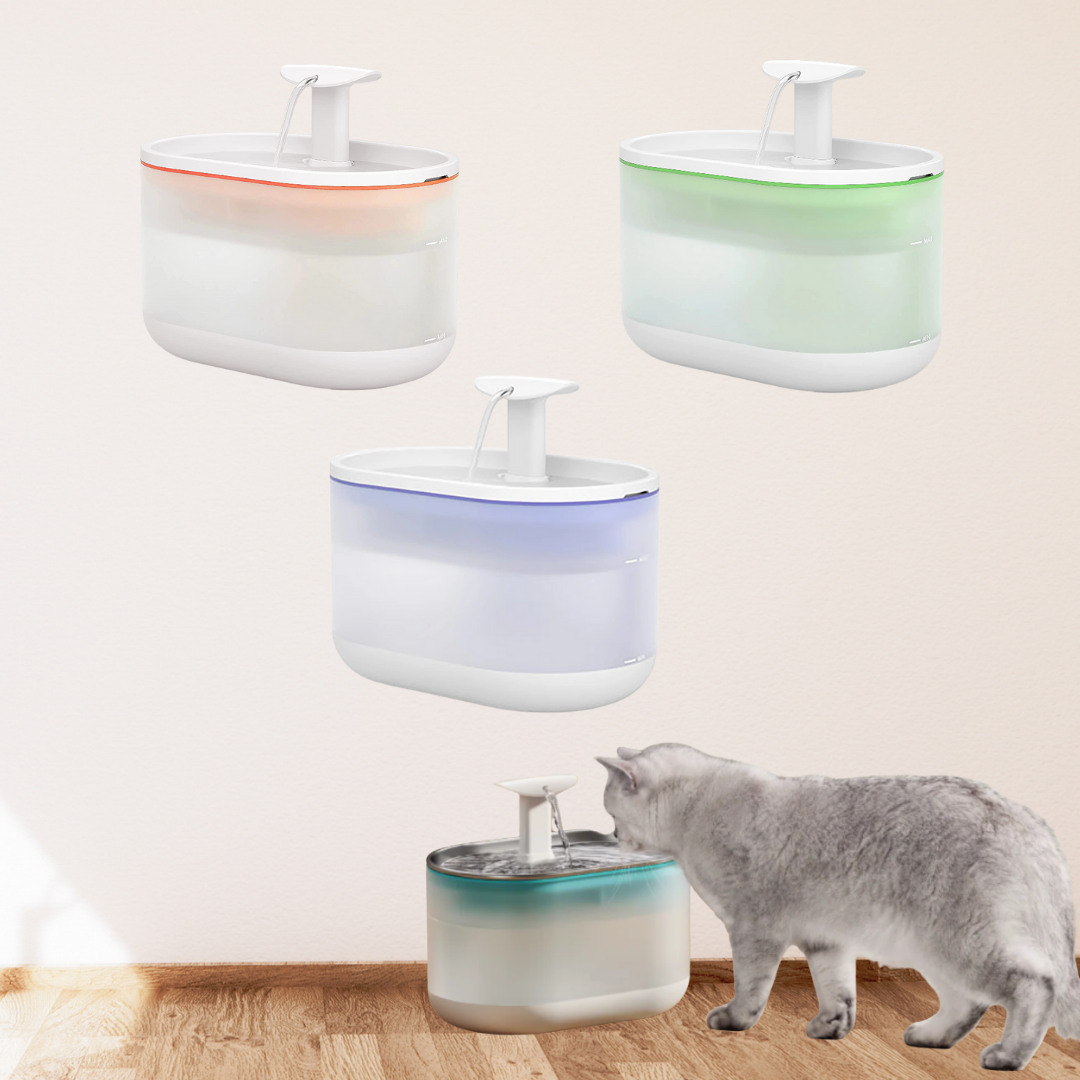 AquaFlow - Protect Your Cat Against Dangerous Bacteria!