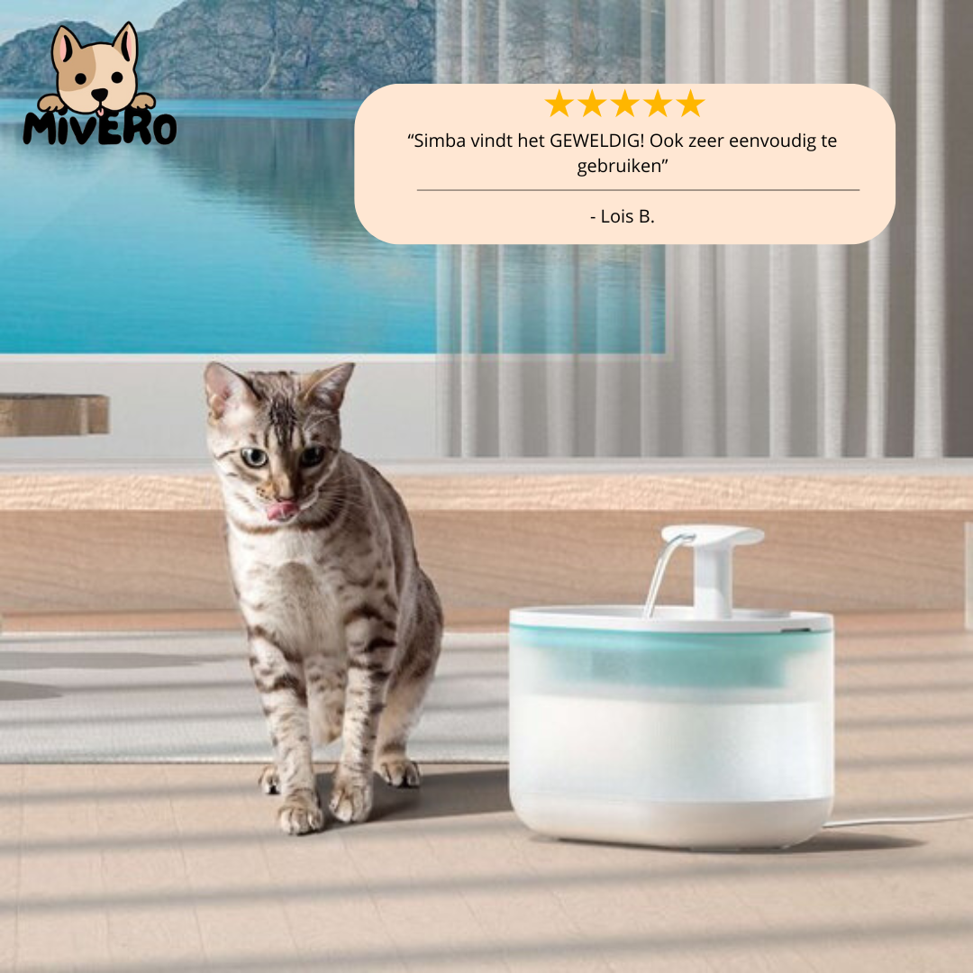 AquaFlow - Protect Your Cat Against Dangerous Bacteria!