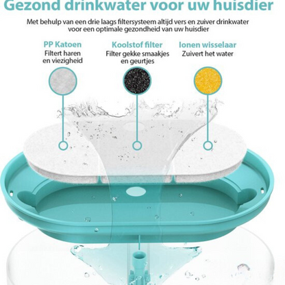 AquaFlow - Protect Your Cat Against Dangerous Bacteria!