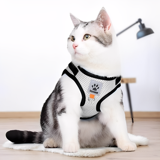 SnugFit - Escape-Proof Reflective Cat Harness