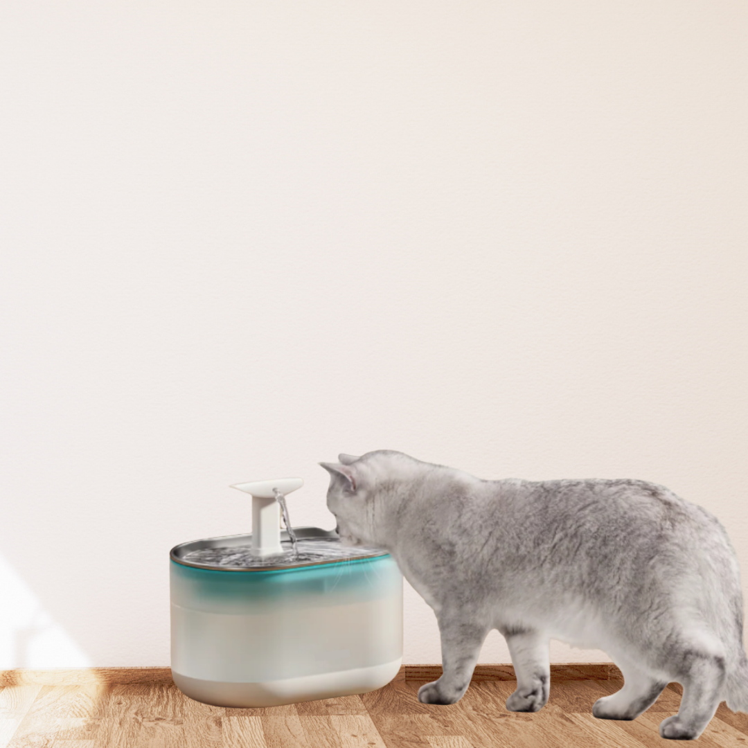AquaFlow - Protect Your Cat Against Dangerous Bacteria!