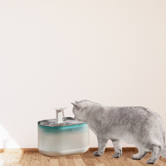 AquaFlow - Protect Your Cat Against Dangerous Bacteria!