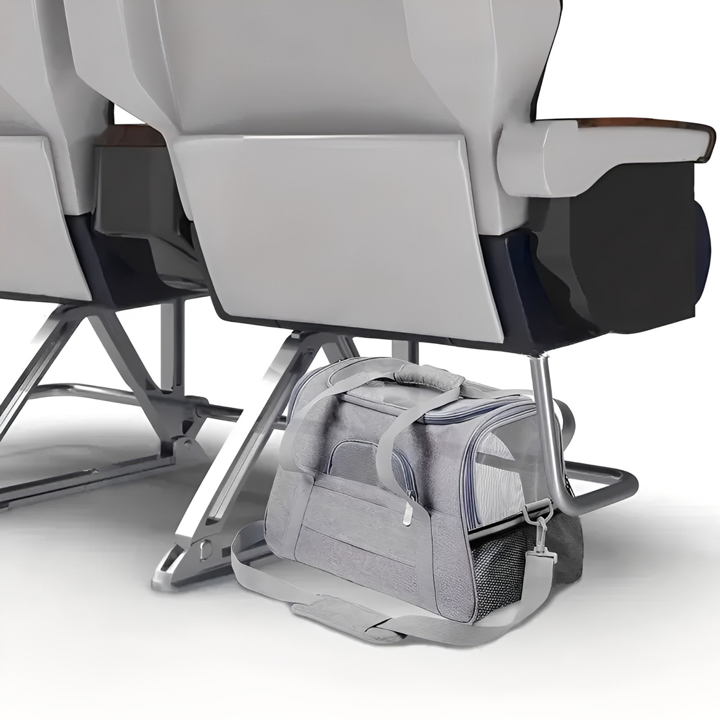 PawVoyage - Comfortable Travel Dog Carrier