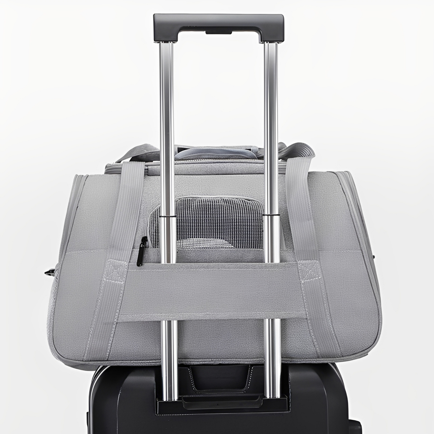 PawVoyage - Comfortable Travel Dog Carrier