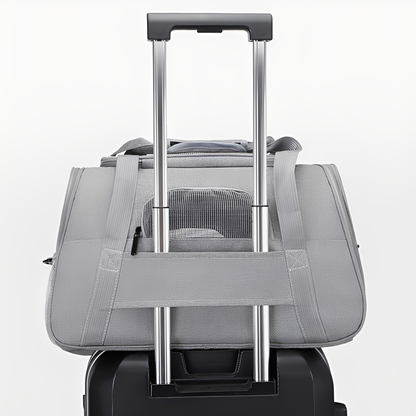 PawVoyage - Comfortable Travel Dog Carrier