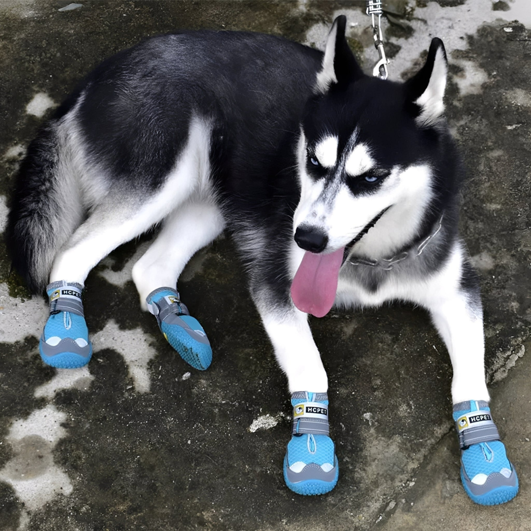TrailPaws - Protective Non-Slip Dog Shoes