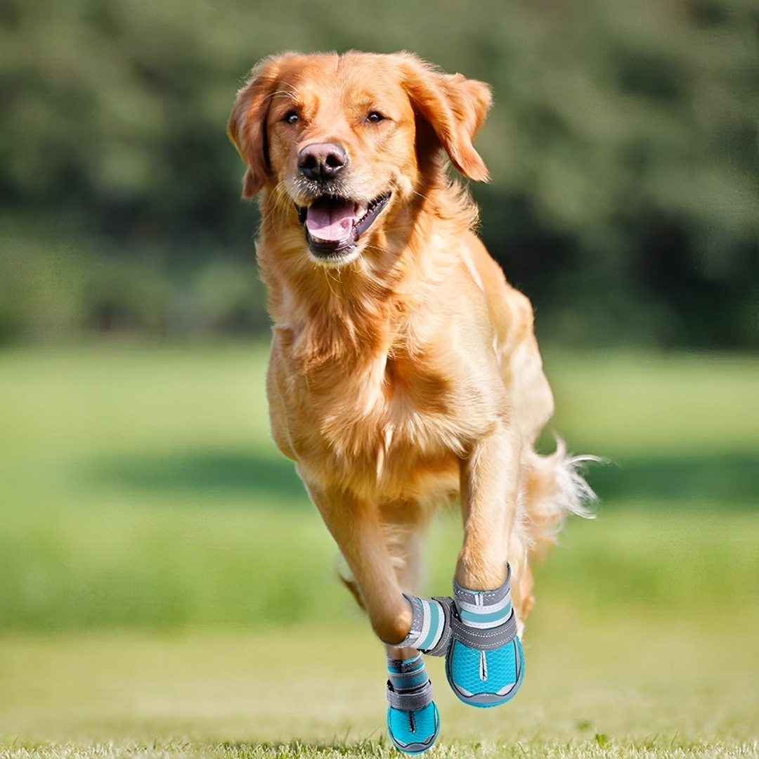 TrailPaws - Protective Non-Slip Dog Shoes
