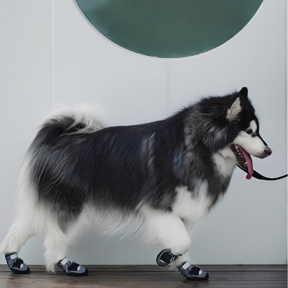 TrailPaws - Protective Non-Slip Dog Shoes