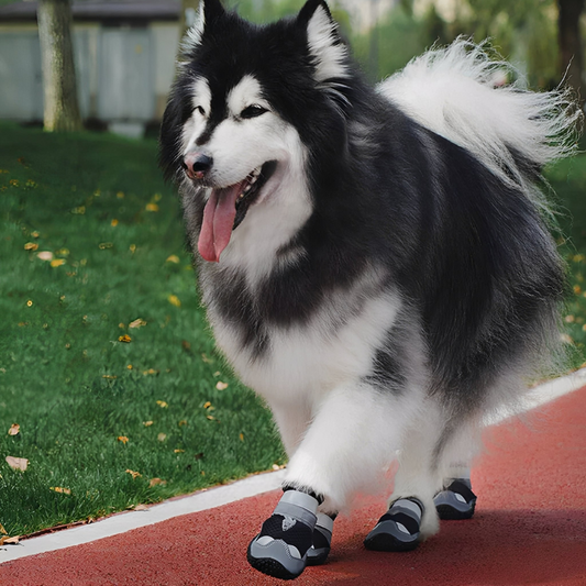 TrailPaws - Protective Non-Slip Dog Shoes
