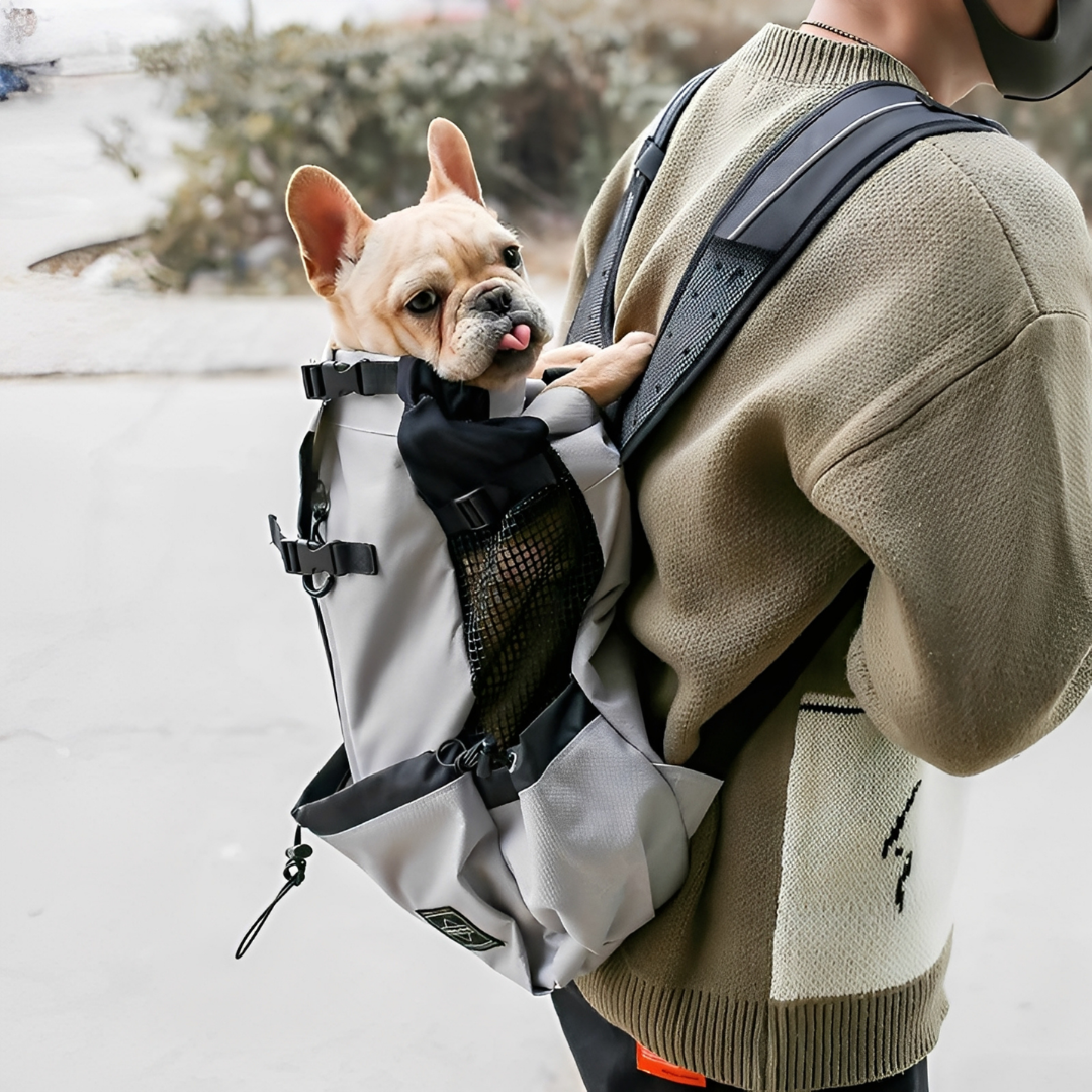 PawPack - Ergonomic Dog Carrier Backpack