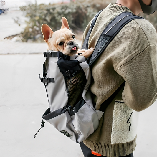 PawPack - Ergonomic Dog Carrier Backpack