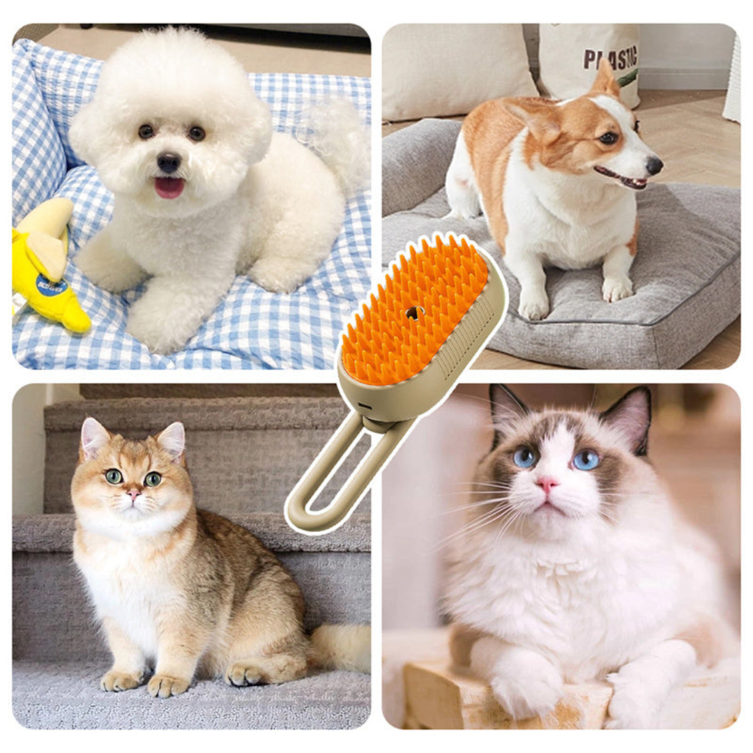 SteamBrush 2.0 – Is your pet struggling with hair loss?