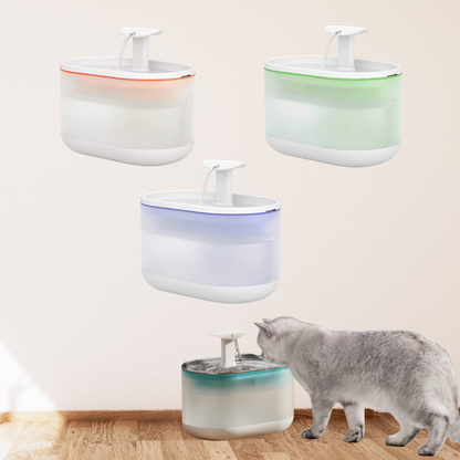 AquaFlow - Protect Your Cat Against Dangerous Bacteria!