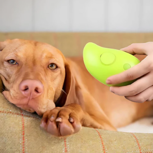 SteamBrush - Is your dog suffering from hair loss?