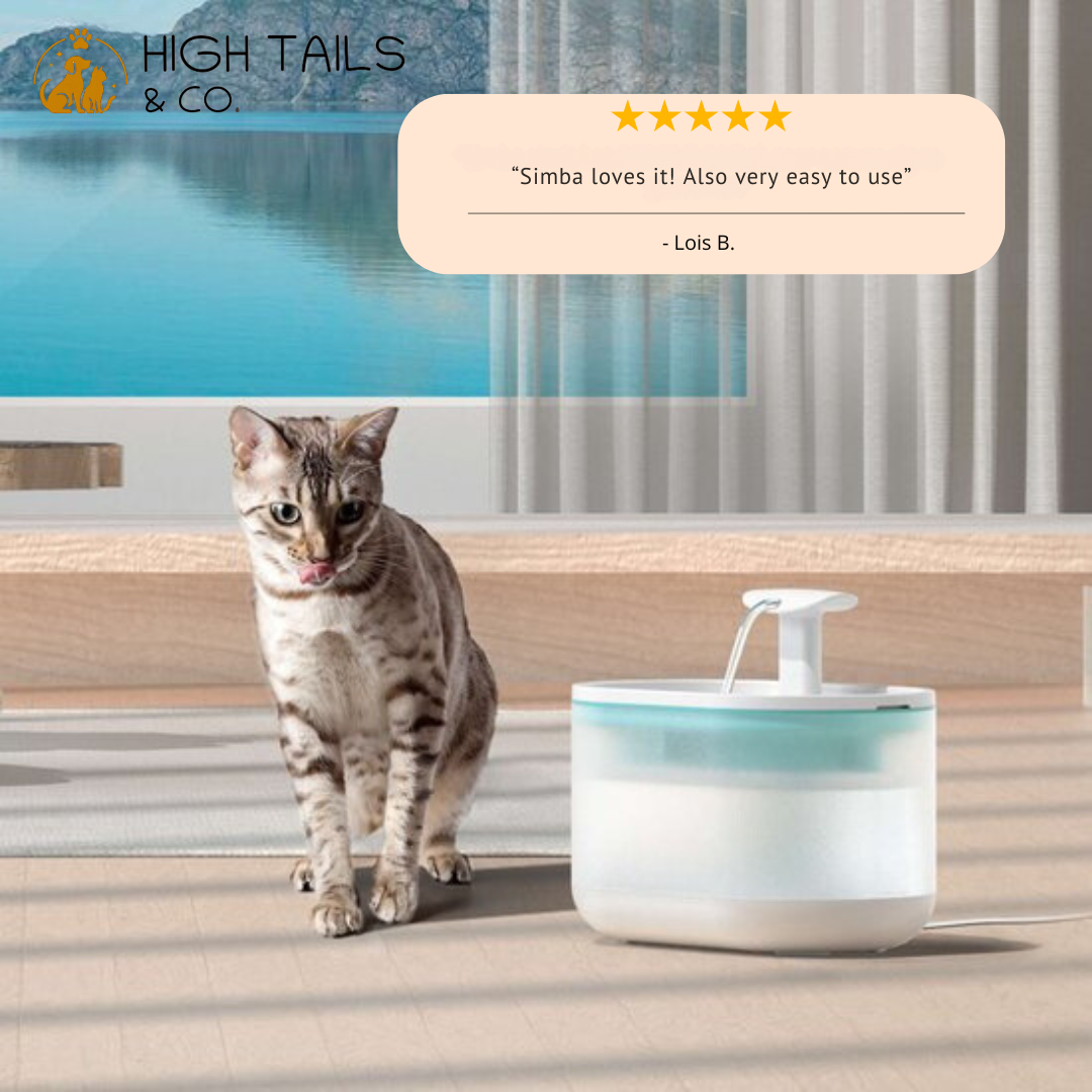 AquaFlow - Protect Your Cat Against Dangerous Bacteria!