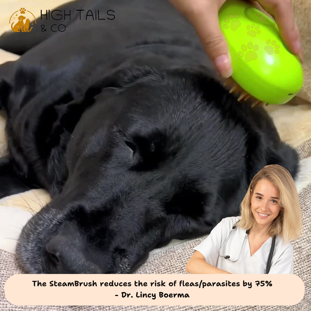 SteamBrush - Is your dog suffering from hair loss?