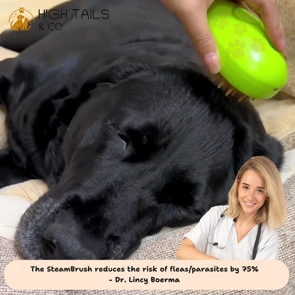 SteamBrush - Is your dog suffering from hair loss?