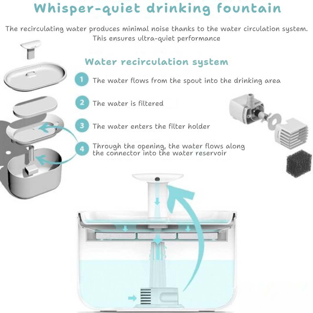 AquaFlow - Protect Your Cat Against Dangerous Bacteria!