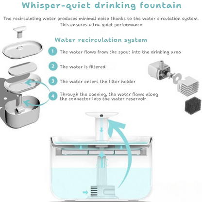AquaFlow - Protect Your Cat Against Dangerous Bacteria!