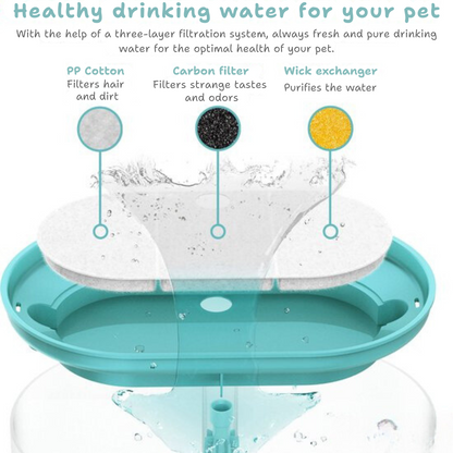 AquaFlow - Protect Your Cat Against Dangerous Bacteria!